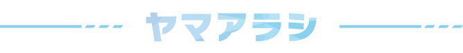 ヤマアラシ